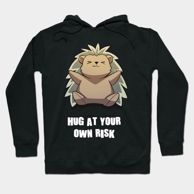 Hug At Your Own Risk Funny Sarcastic Anime Hedgehog Hoodie by Dojaja